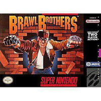 Brawl Brothers - SNES Game | Retrolio Games
