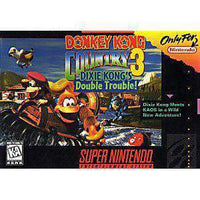 Donkey Kong Country 3 - SNES Game - Best Retro Games
